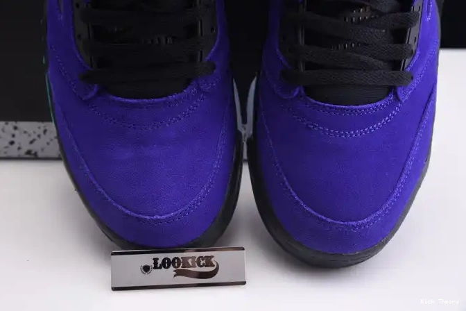 Kicktheory Retro Grape 5 136027-500 Alternate Air Jordan 0618